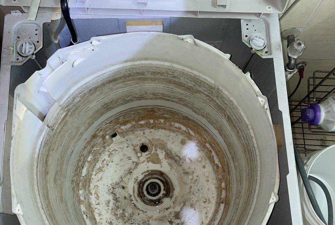 拆開上蓋後的洗衣機內槽，清潔前槽壁與底部積滿黃褐色污垢